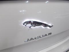 饤ȥȡ󥫥ࡡܥȥ󥯥ݥ顼她ڡʣƣңˡܥͥåȥޥåȡҳ󥷥ɥߥ顼󥫡㥬ɥǥ 7