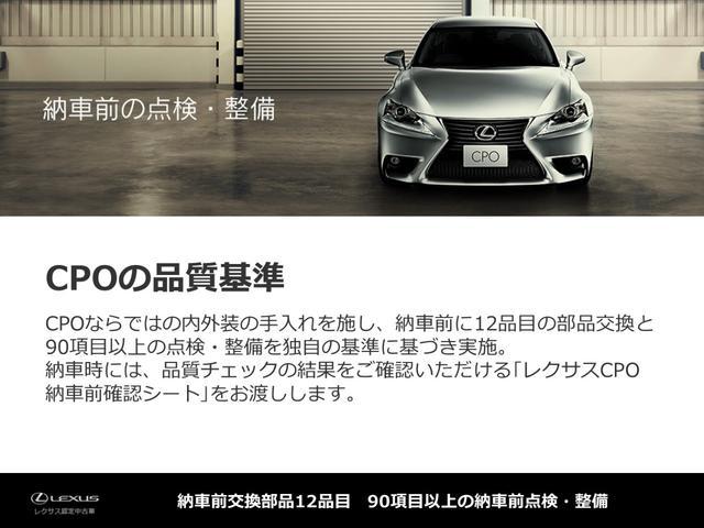 NX300h バージョンL 18AW ブラインドスポットモニター パノラミックビューモニター パーキングサポートブレーキ NAVI・AI-AVS メッキラゲージロアガーニッシュ 認定中古車CPO(19枚目)