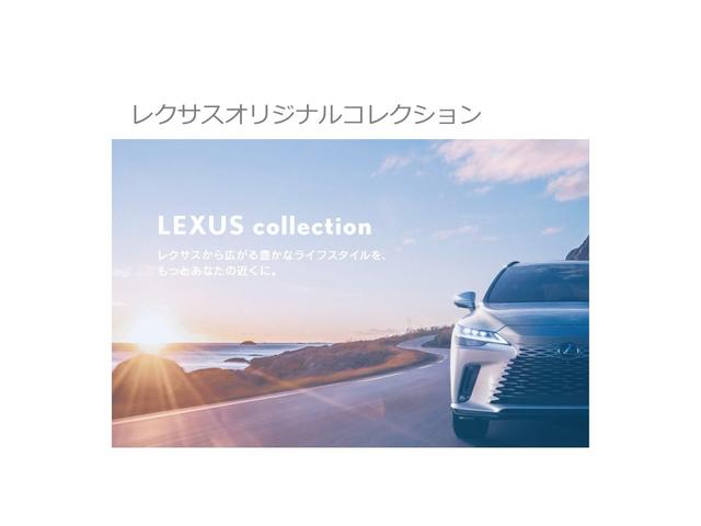 ＵＸ２００　Ｆスポーツ　スタイルブルー　認定中古車ＣＰＯ(34枚目)