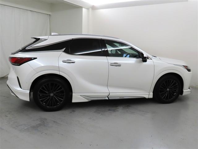 �����Ƃ��C�ɓ���k�d�w�t�r��������܂��B���߂��̓��Ѓ��N�T�X���K�̔��X�ɂ��z�����������܂��B