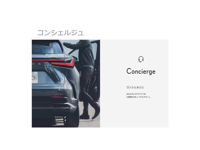 ＲＸ ＲＸ３００　バージョンＬ　認定中古車ＣＰＯ　２０インチアルミホイール　スペアタイヤ　三眼フルＬＥＤヘッドランプ　パノラミックビューモニター　ブラインドスポットモニター　インテリジェントクリアランスソナー　リヤシートエンターテインメントシステム（31枚目）