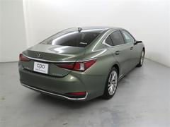 ��Ź�ϡ���̥ȥ西��ư�֡ʳ��ˤ����Ĥ���쥯������������Ź�Ǥ��� 2