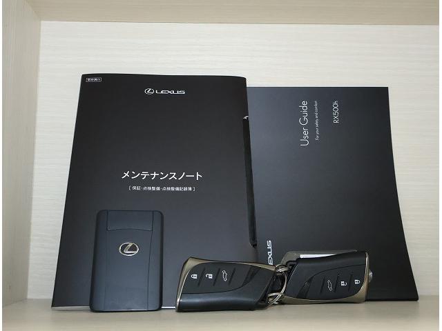 RX RX500h Fスポーツパフォーマンス Fスポーツパフォーマンス(5名)/ボディーカラー/ホワイトノーヴァガラスフレーク/”FSPORT専用本革/ブラック/ダークスピンアルミ(スピン加工/ダークシルバー(19枚目)