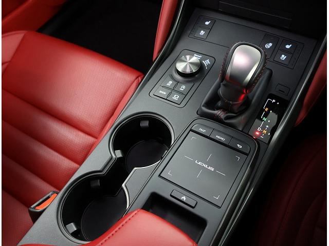 IS IS300 Fスポーツモードブラック ”FSPORT ModeBlack/ボディーカラー/ソニッククロム/内装/”FSPORT専用本革/フレアレッド/特別仕様車専用アッシュ(オープンフィニッシュ/銀墨)(14枚目)