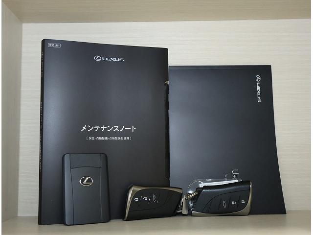 ＲＺ ＲＺ４５０ｅ　バージョンＬ　認定中古車ＣＰＯ（19枚目）