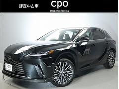 �߸˾����������������Ϥ����ڤˤ�Ϣ���������� 2