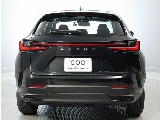 NX NX250 レクサスセーフティーシステム バックモニター ブラインドスポットモニター パワーバックドア インテリアカラーブラック 18インチアルミホイール(4枚目)
