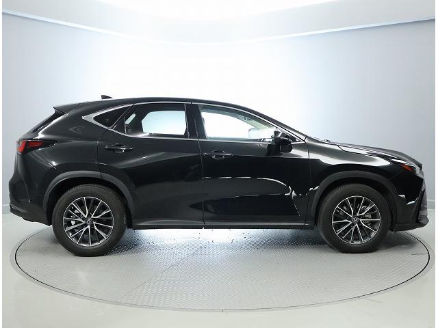 NX NX250 レクサスセーフティーシステム バックモニター ブラインドスポットモニター パワーバックドア インテリアカラーブラック 18インチアルミホイール(6枚目)