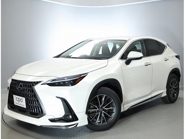 NX NX450h+ バージョンL 18インチアルミホイール エアロパーツ デジタルインナーミラー パノラミックビューモニター ディスクプレーヤー レーンチェンジアシスト 充電ケーブル15メートル(2枚目)