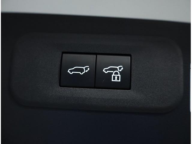 NX NX450h+ バージョンL 18インチアルミホイール エアロパーツ デジタルインナーミラー パノラミックビューモニター ディスクプレーヤー レーンチェンジアシスト 充電ケーブル15メートル(20枚目)