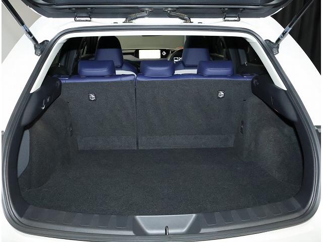 UX UX200 バージョンC ブラインドスポットモニター レクサスセーフティーシステム 17インチアルミホイール(ダークメタリック塗装) L-TEXシート/インテリアカラーコバルト(11枚目)