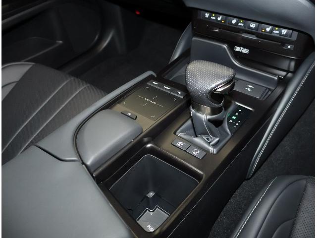 ＥＳ ＥＳ３００ｈ　Ｆスポーツ　マークレビンソンプレミアムサラウンドサウンドシステム　ムーンルーフ　パノラミックビューモニター　デジタルインナーミラー　ヘッドアップディスプレイ（18枚目）