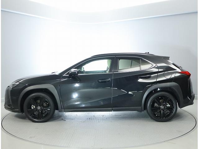 �t�����g���炵�Ȃ₩�ɐL�яオ�郋�[�t���C���Ƒ��܂��āA�R���p�N�g����_�ȃX�^�C���Ɏd�グ�Ă���܂��B