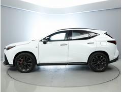 ܥǥ˽ɤŽ̤줿ʥߥࡣ줿¤ȼޤ줿ƥꥢޤˡݡĥȤƤΥݥƥ󥷥ФǥǤ 4