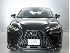 ΣŪʥץݡ󡣥ԥɥ륰Ȥ륷㡼פʥ饯饤ϡӥ˹ʤܥǥ϶ĥФۥե쥢餫ͻ礵ޤ 2