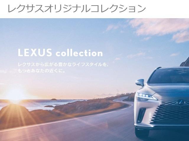 ＮＸ ＮＸ３５０ｈ　認定中古車ＣＰＯ　パノラミックビューモニター　パーキングサポートブレーキ　フロアマット　ホイールロックボルト　ナンバーフレーム（33枚目）
