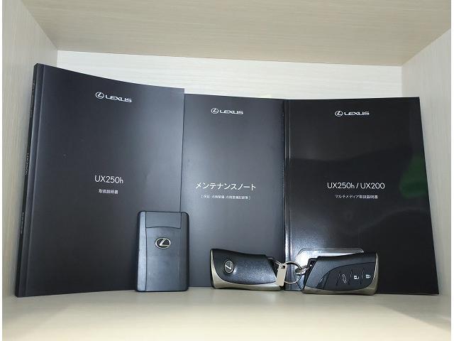 ＵＸ ＵＸ２５０ｈ　Ｆスポーツエモーショナルエクスプローラ　ＣＰＯ（21枚目）