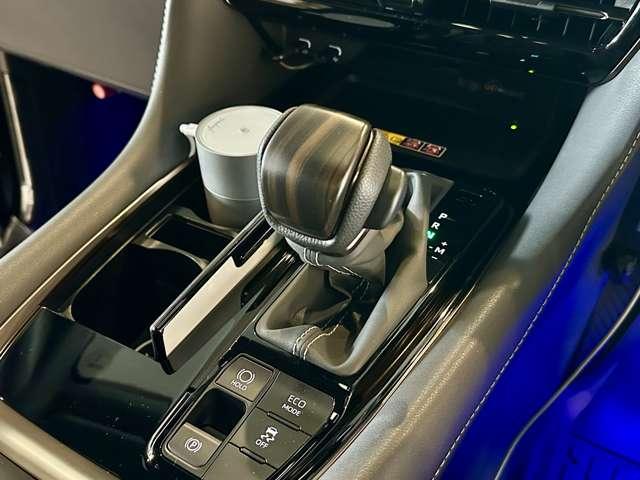 アルファード Z フルモデリスタエアロ レイヤード4chサウンド&ウーハー RS-Rハーフローダウン 19インチ純正アルミ IGLAセキュリティー 社外イージークロズドドア(12枚目)