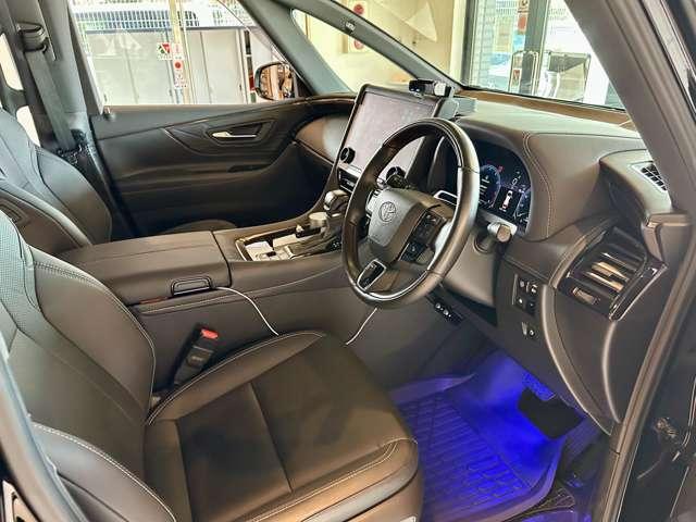 アルファード Z フルモデリスタエアロ レイヤード4chサウンド&ウーハー RS-Rハーフローダウン 19インチ純正アルミ IGLAセキュリティー 社外イージークロズドドア(15枚目)