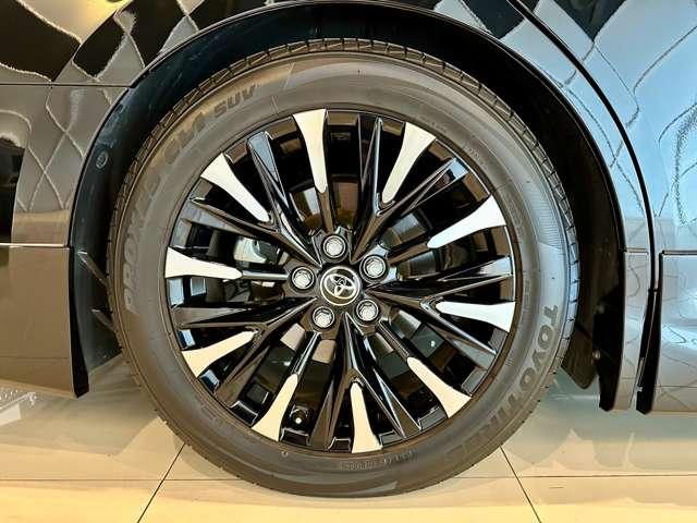 アルファード Z フルモデリスタエアロ レイヤード4chサウンド&ウーハー RS-Rハーフローダウン 19インチ純正アルミ IGLAセキュリティー 社外イージークロズドドア(40枚目)