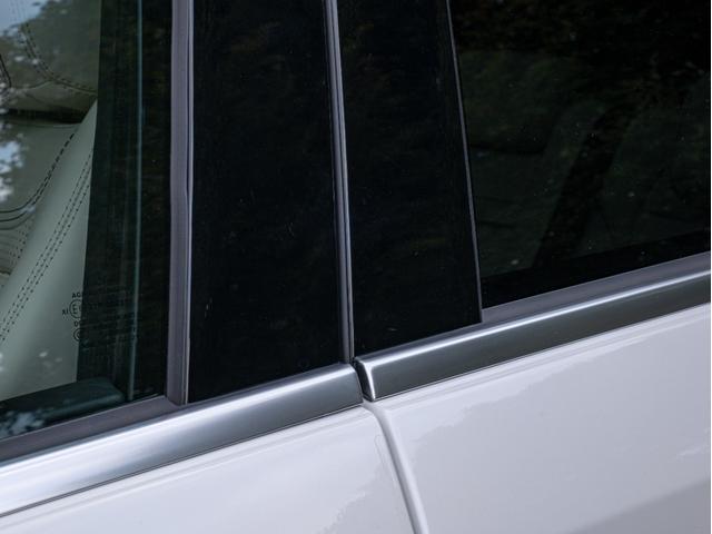 ドアモールもくすみなくきれいです。