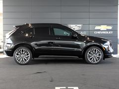 ǥåأԣ ݡġ󥪡ʡףġסϥ 9540192A30251123W002 5