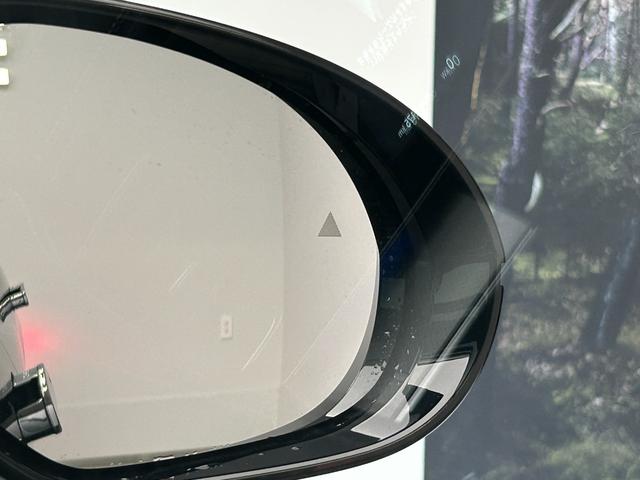 シーライオン 7 ベースグレード LFPバッテリー ACC ナッパレザーシート V2H 回転式15.6インチディスプレイ ヘッドアップディスプレイ シートヒーター ベンチレーション(52枚目)