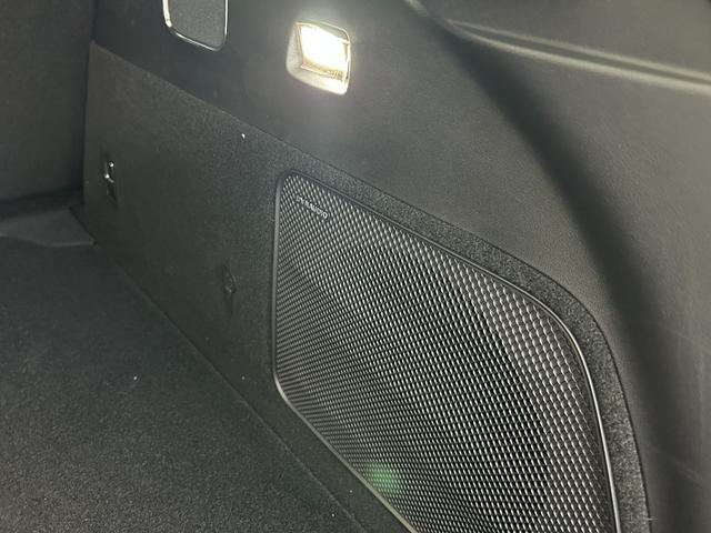 シーライオン 7 ベースグレード LFPバッテリー ACC ナッパレザーシート V2H 回転式15.6インチディスプレイ ヘッドアップディスプレイ シートヒーター ベンチレーション(71枚目)