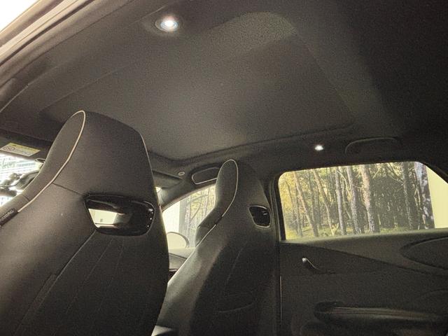 ドルフィン ロングレンジ　回転式モニター　ガラスルーフ　レザーシート　シートヒーター　アクティブクルーズコントロール　ブラインドスポットアシスト　ＬＥＤヘッドライト　幼児置き去り検知システム　ペダル踏み間違い時加速抑制装置（21枚目）