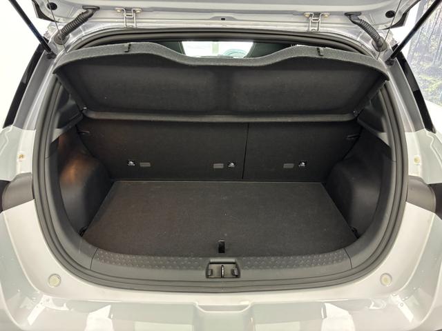 ドルフィン ロングレンジ　回転式モニター　ガラスルーフ　レザーシート　シートヒーター　アクティブクルーズコントロール　ブラインドスポットアシスト　ＬＥＤヘッドライト　幼児置き去り検知システム　ペダル踏み間違い時加速抑制装置（43枚目）