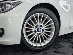 ꡼ ֥롼ѥեޥ󥹡ġ󥰡ͥݡġ롼աץ 9540228A30251126W001 6