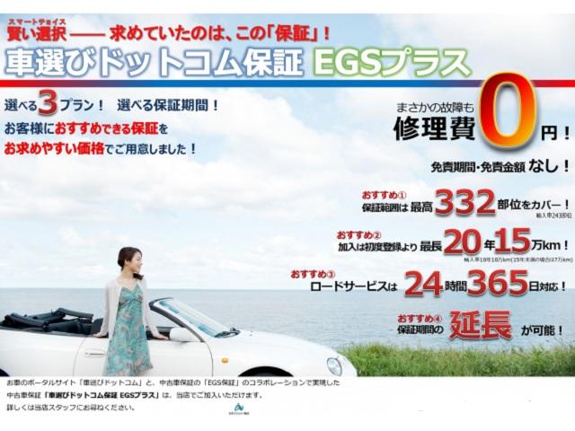 エクストレイル 20XブラクエクストリーマXエマージェンシブレーキP 6ヶ月保証距離無制限 特別仕様車 INNOルーフラック アルパインスピーカー デイライトキット スモークテール LEDヘッドライト 社外前後ドラレコ 純正ナビ バックカメラ エマージェンシーブレーキ(57枚目)