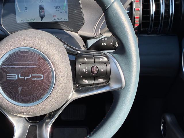 ATTO 3 ベースグレード 1オーナー ACC HUD タッチナビ 電動シート(17枚目)