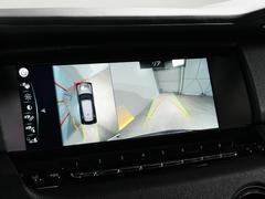 ʥ ١졼ɡѥåեޥåȡꥢ󥿡ԥ˥åơ֥롡ѥΥޥ롼 9540237A30251029W001 6