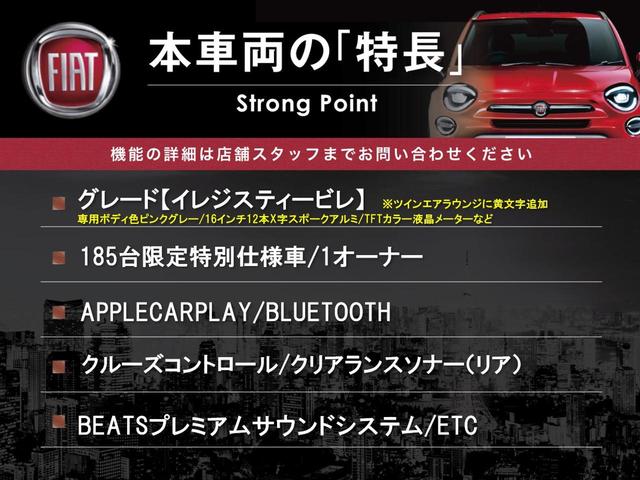 イレジスティービレ　ワンオーナー　１８５台限定特別仕様車　専用ボディ色ピンクグレー　アップルカープレイ　Ｂｅａｔｓプレミアムサウンドシステム　ガラスルーフ　ＨＩＤヘッドランプ　クリアランスソナー　Ｂｌｕｅｔｏｏｔｈ(3枚目)