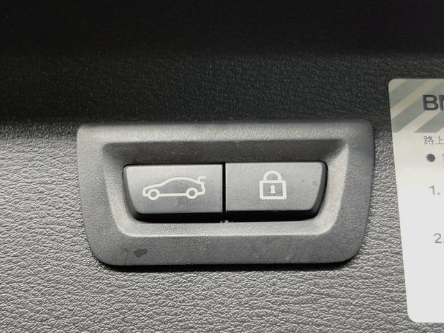 X1 xDrive 20i xライン ハイラインPKG コンフォートPKG オプション19インチアルミ 純正ナビ 衝突軽減システム レーンキープアシスト パワーバックドア 茶革シート 前席パワーシート/シートヒーター LEDヘッドライト(7枚目)