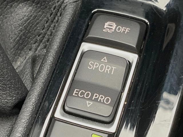 X1 xDrive 20i xライン ハイラインPKG コンフォートPKG オプション19インチアルミ 純正ナビ 衝突軽減システム レーンキープアシスト パワーバックドア 茶革シート 前席パワーシート/シートヒーター LEDヘッドライト(47枚目)