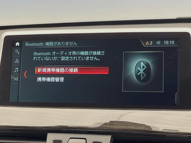 X1 xDrive 18d xライン アドバンスドアクティブセーフティ/コンフォート/ハイラインPKG ドライビングアシスト アクティブクルーズ 純正ナビ バックカメラ パーキングアシスト 電動リアゲート 純正18インチAW スマートキー(41枚目)