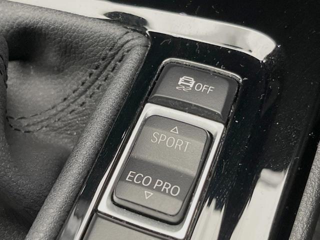 X1 xDrive 18d xライン アドバンスドアクティブセーフティ/コンフォート/ハイラインPKG ドライビングアシスト アクティブクルーズ 純正ナビ バックカメラ パーキングアシスト 電動リアゲート 純正18インチAW スマートキー(46枚目)