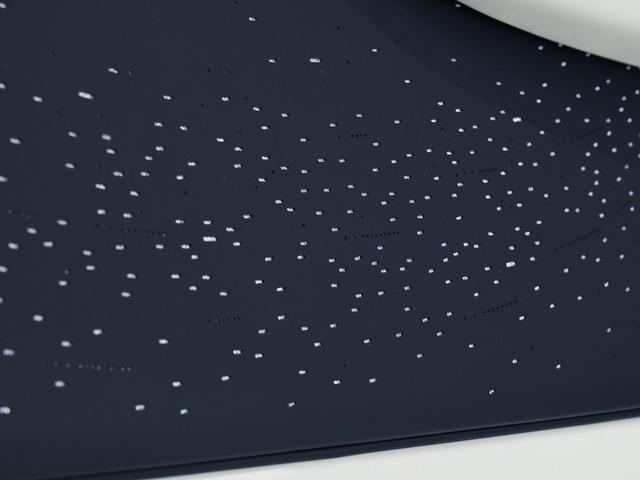 スペクター フェンダー・コーチライン Starlight Doors Rolls Royce 認定中古車 Provenance メーカー保証付 ロードサイド・アシスタンス(12枚目)