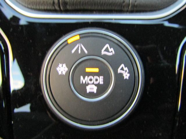 T-ロック TDI 4モーション Rライン ブラックスタイル(18枚目)