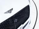 ＧＴ　スピード　ベントレー認定中古車　メーカー保証付　ベントレー　ケアプログラム　ベントレー　エマージェンシーアシスタンス　ＣＥＲＴＩＦＩＥＤ　ＢＹ　ＢＥＮＴＬＥＹ（46枚目）