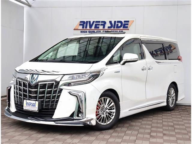 ȥ西 եɥϥ֥å ӣҡåѥåǥꥹ롡ޥե顼