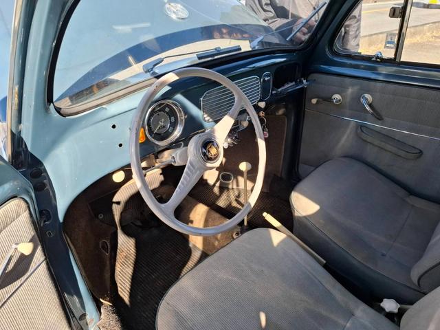 タイプI オーバル　ウインドウ（21枚目）