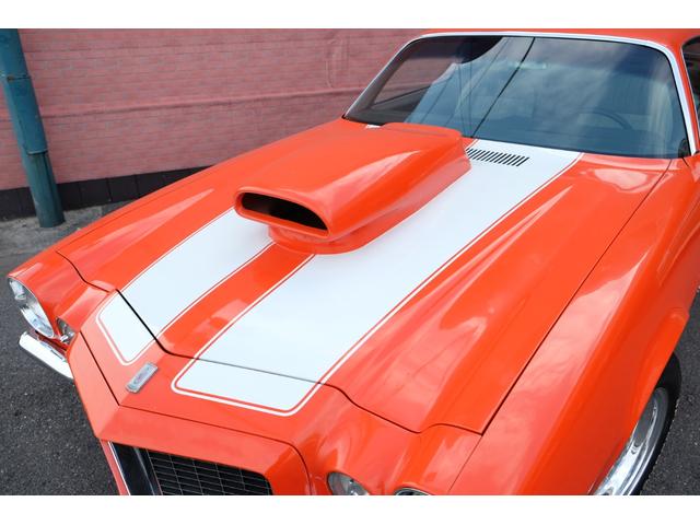 シボレーカマロ ＲＳ　ＬＳ５．７エンジン載替　４ＡＴ　ビンテージＡＣキット付　ツイン電動ファン　ビレットプーリキット　自社米国輸入　新規登録（8枚目）