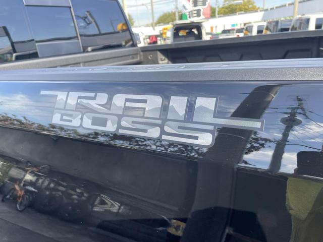 シボレーシルバラード １５００　ＬＴ　ＴＲＡＩＬ　ＢＯＳＳ　３．０Ｌ　Ｄｕｒａｍａｘ　Ｔｕｒｂｏ－Ｄｉｅｓｅｌ（33枚目）