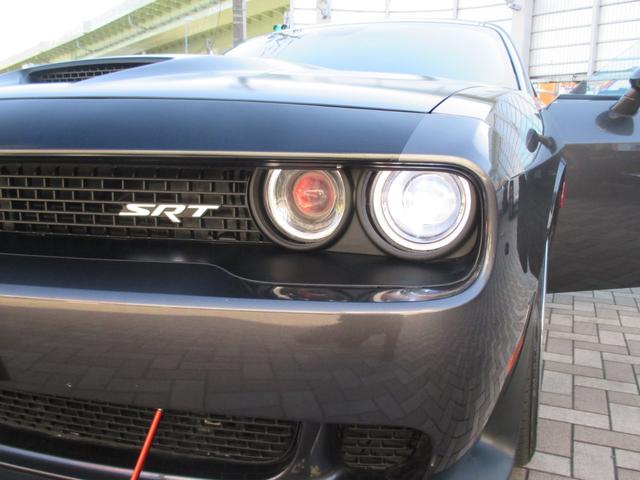 R/T SRTヘルキャットフェイス ジオバンナ22AW(20枚目)