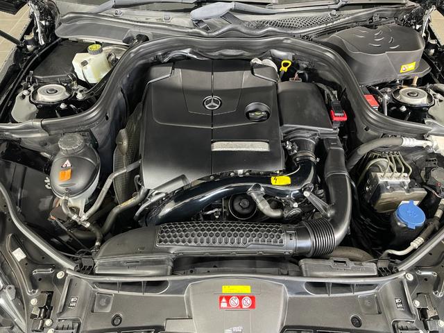 �k�͖k�C���A��͉���܂ŁA�S���[�Ԏ��т������������܂��B���߂��̂��q�l�͂������A���{�S�������̂��q�l�ł�����]�̂��Ԃ�ӔC�����Ă��[�Ԃ������܂��B