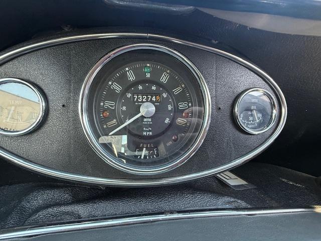 ＭＩＮＩ （16枚目）