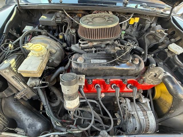 ＭＩＮＩ （26枚目）
